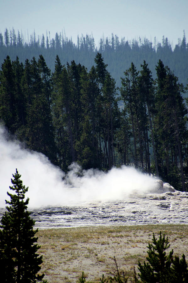 Yellowstone Park August At The Surronding Area Old Faithful Inn Vertical 06 Photograph by Thomas Woolworth