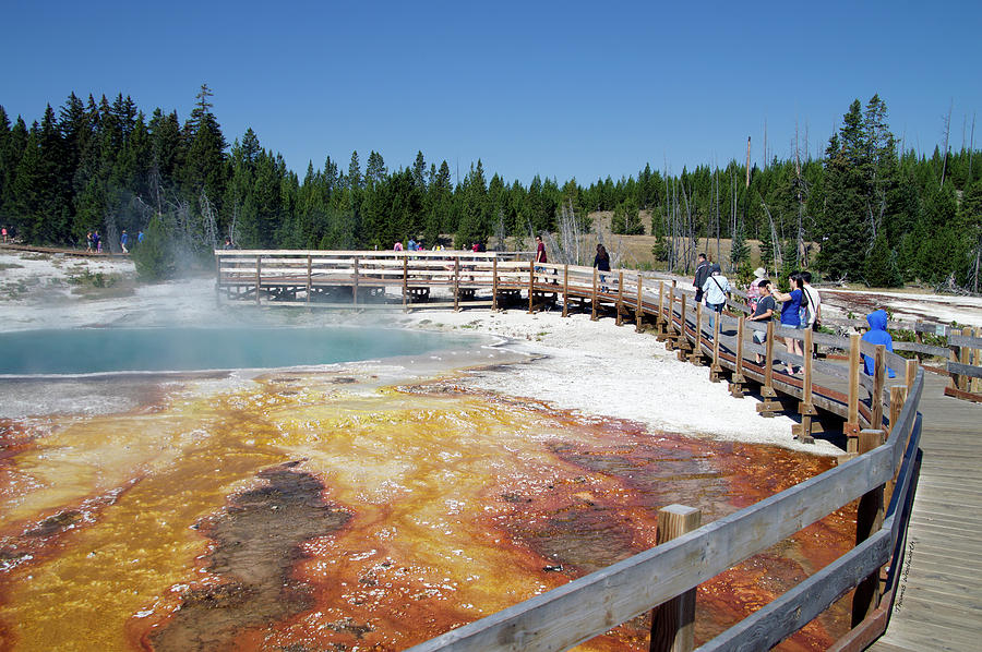 Yellowstone Park Black Pool In August 01 Photograph by Thomas Woolworth