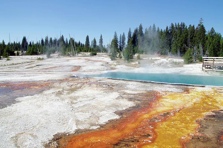 Yellowstone Park Black Pool In August 02 Photograph by Thomas Woolworth