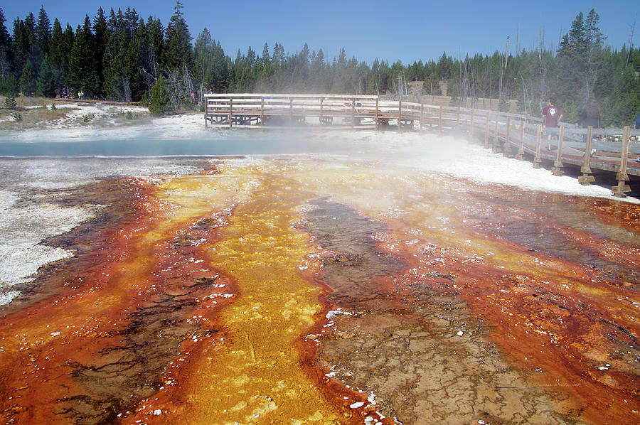 Yellowstone Park Black Pool In August 03 Photograph by Thomas Woolworth