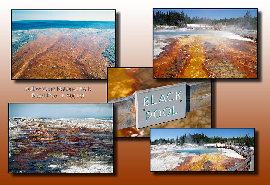 Yellowstone Park Black Pool In August Collage Photograph by Thomas Woolworth