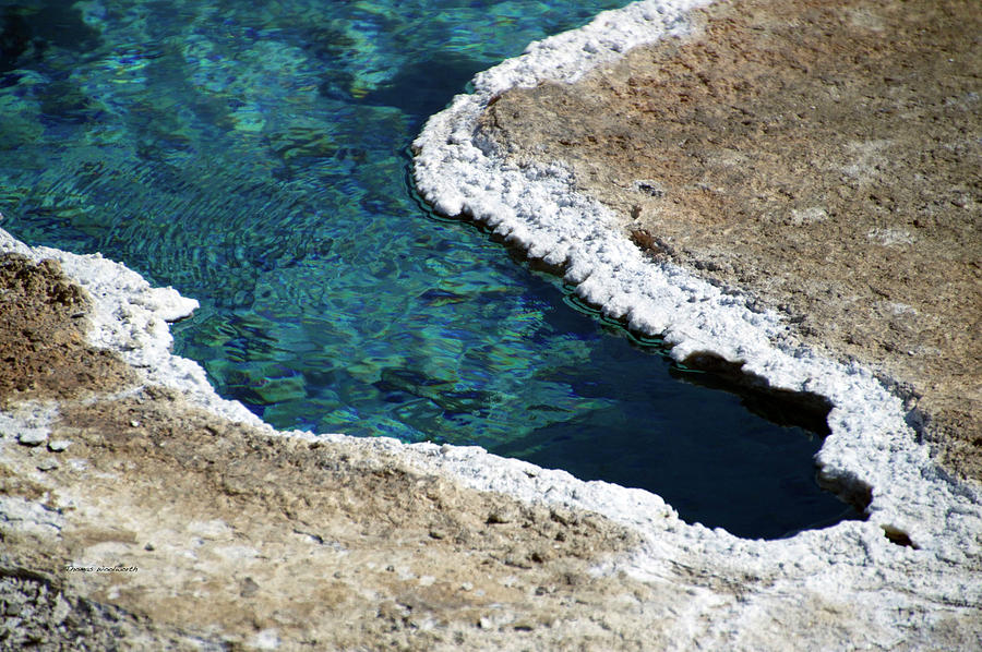 Yellowstone Park Blue Star Spring In August 02 Photograph by Thomas Woolworth