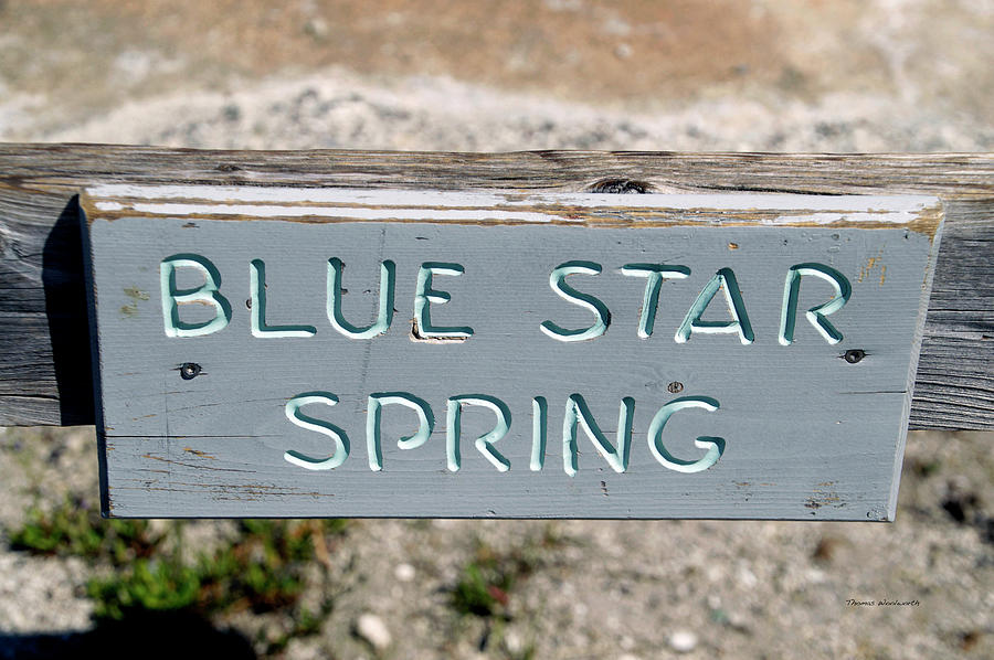 Yellowstone Park Blue Star Spring In August Signage Photograph by Thomas Woolworth