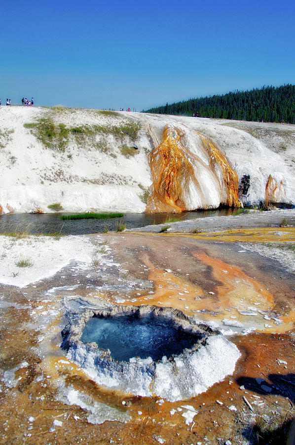 Yellowstone Park Chinese Spring In August 01 Vertical Photograph by Thomas Woolworth