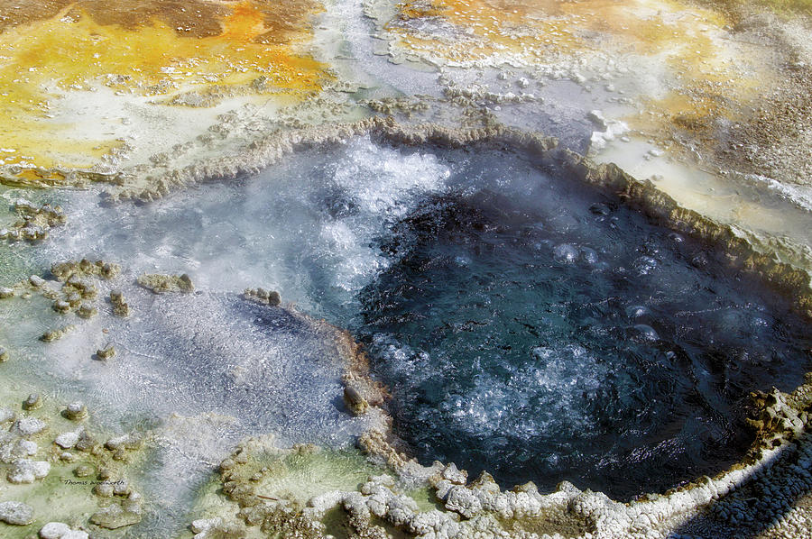 Yellowstone Park Chinese Spring In August 02 Photograph by Thomas Woolworth