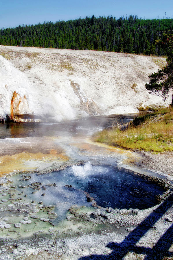 Yellowstone Park Chinese Spring In August 02 Vertical Photograph by Thomas Woolworth