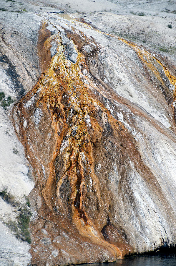 Yellowstone Park Chinese Spring In August 03 Vertical Photograph by Thomas Woolworth