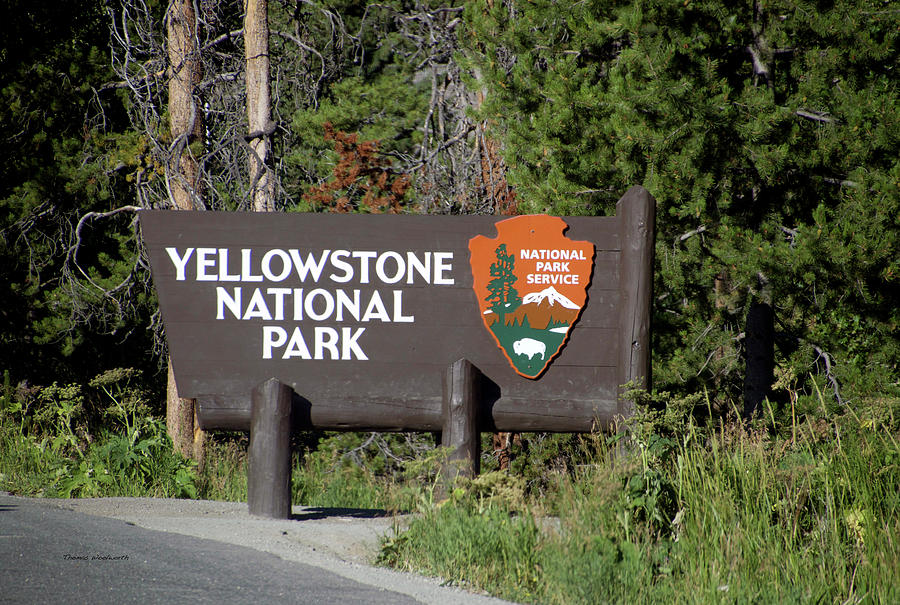 Yellowstone Park East Entrance Signage Photograph by Thomas Woolworth