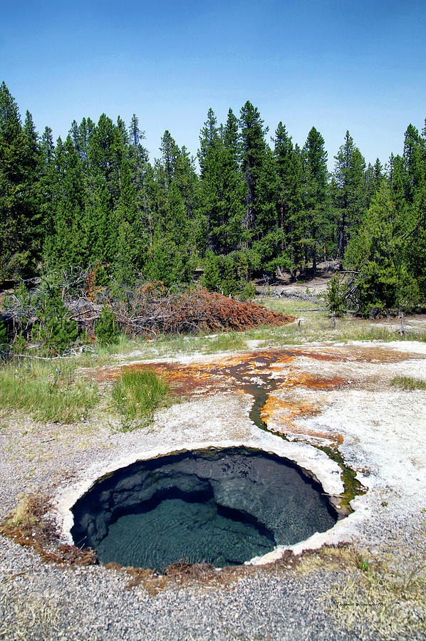 Yellowstone Park Firehole Spring Area Vertical 01 Photograph by Thomas Woolworth