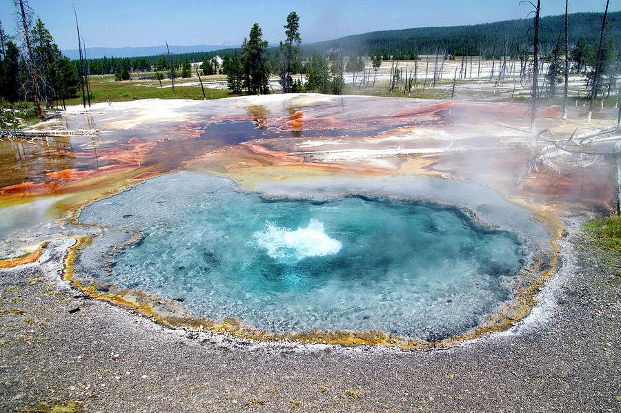 Yellowstone Park Firehole Spring In August 02 Photograph by Thomas Woolworth