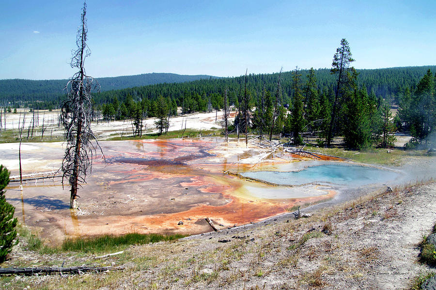 Yellowstone Park Firehole Spring In August 03 Photograph by Thomas Woolworth