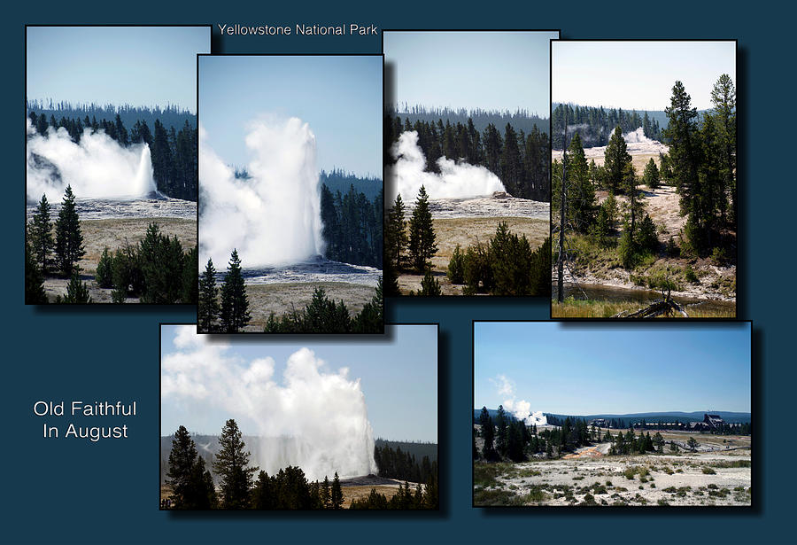 Yellowstone Park Old Faithful In August Horizontal Collage 01 Photograph by Thomas Woolworth