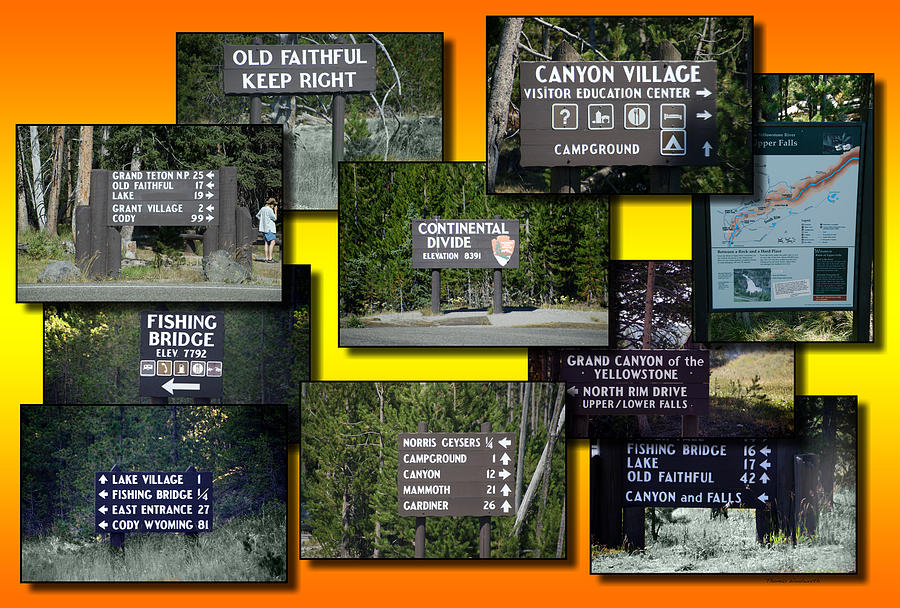 Yellowstone Park Signage Collage Photograph by Thomas Woolworth