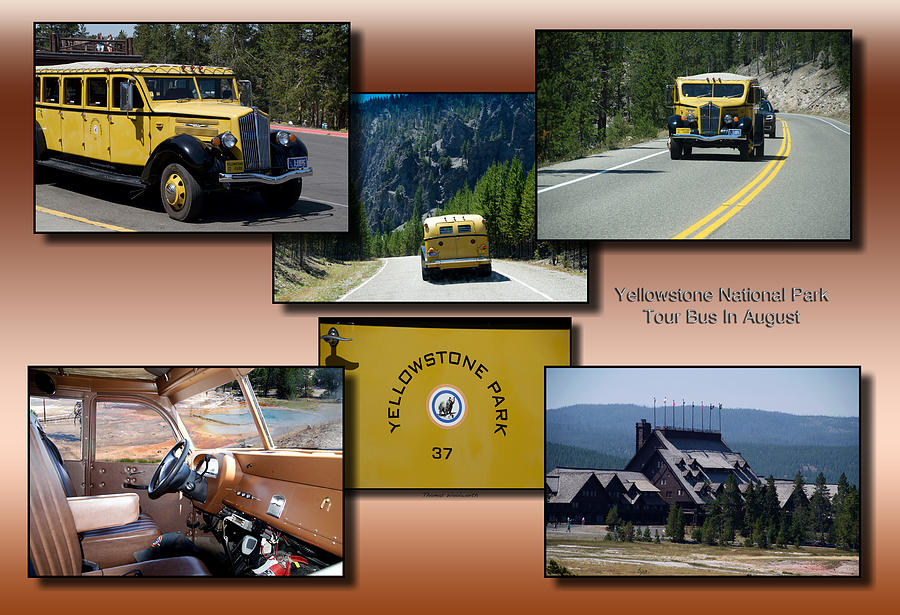 Yellowstone Park Tour Bus In August Collage Photograph by Thomas Woolworth
