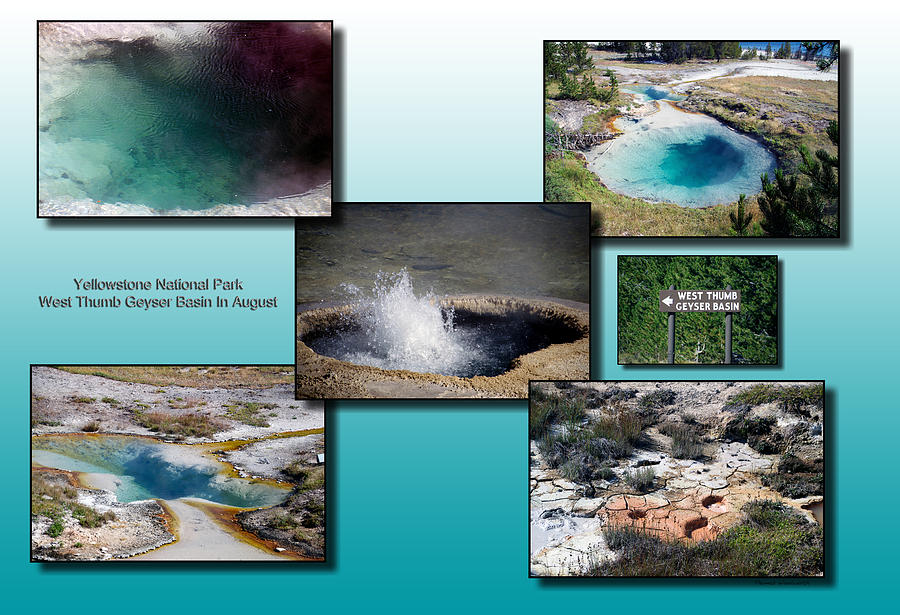 Yellowstone Park West Thumb Geyser Basin In August Collage 03 Photograph by Thomas Woolworth