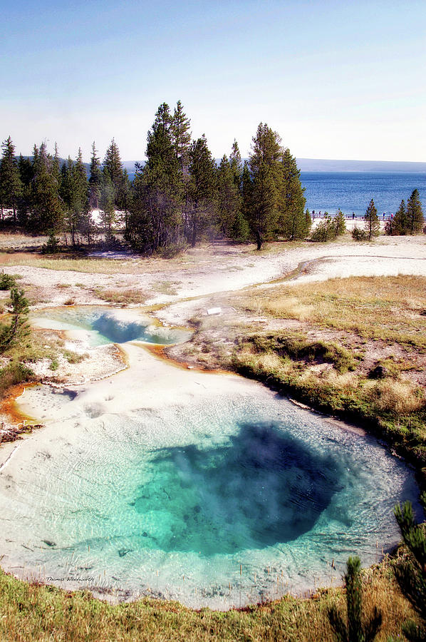 Yellowstone Park West Thumb Geyser Basin In August Vertical Photograph by Thomas Woolworth