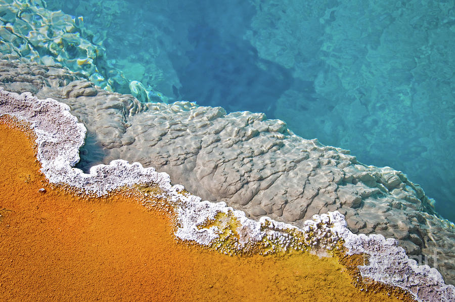 Yellowstone pool abstract, hot spring detail Photograph by Delphimages Photo Creations