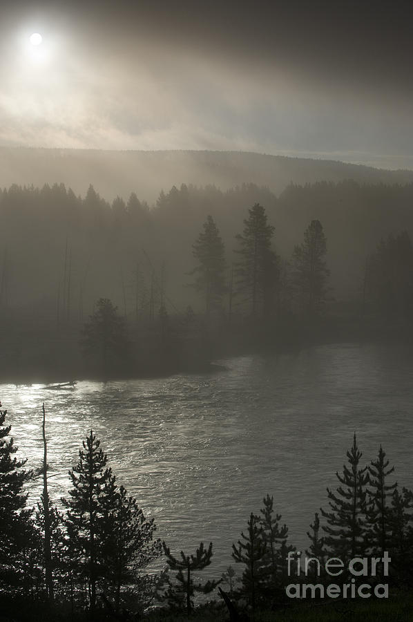 Yellowstone River Fog Photograph by Sandra Bronstein