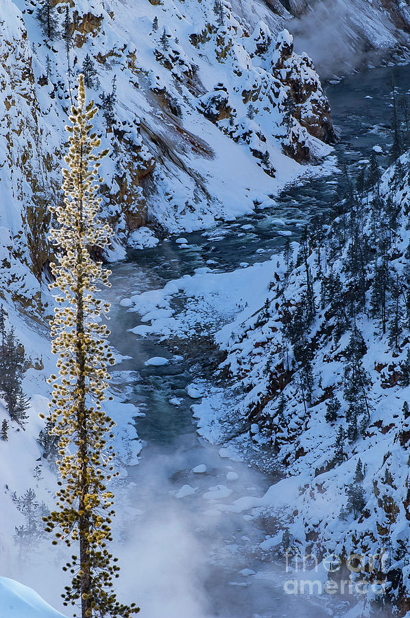 Yellowstone River in Winter Photograph by Bob Phillips