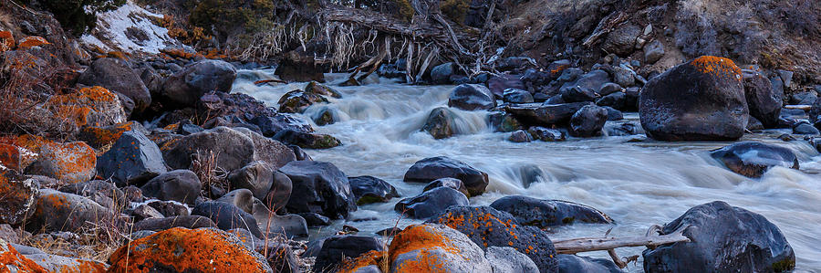Yellowstone River Rapids 2 Photograph by Robert Caddy