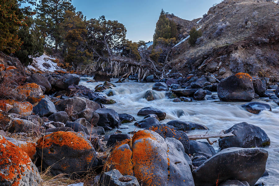 Yellowstone River Rapids Photograph by Robert Caddy