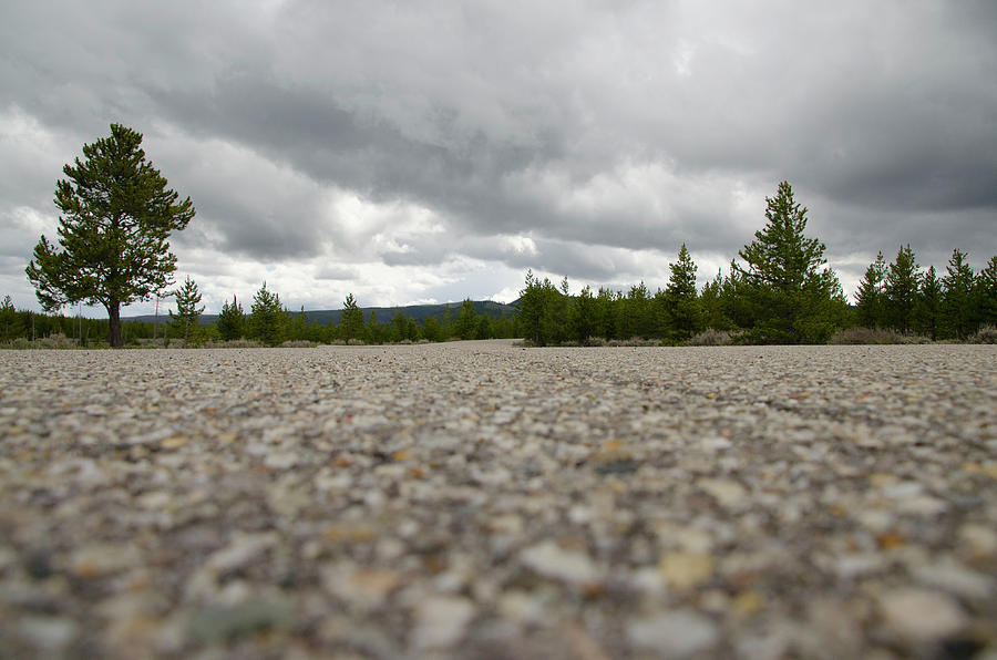 Yellowstone Road Photograph by Erik Burg