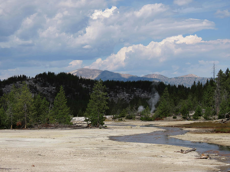 Yellowstone Scene Photograph by Laurel Powell