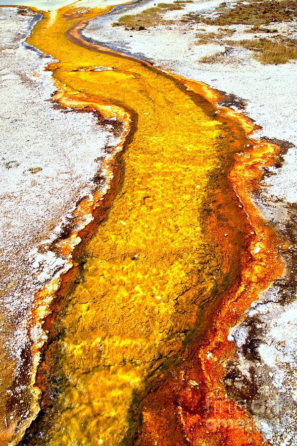Yellowstone Stream Photograph by Adam Jewell