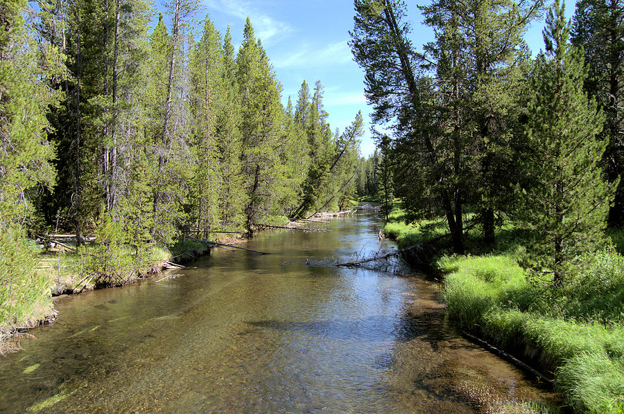 Yellowstone Stream Photograph by Wendy Fox - Fine Art America