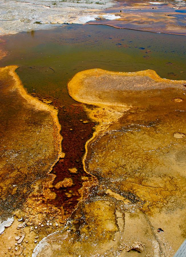 Yellowstone Sulphur Springs Photograph by David West