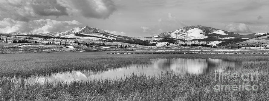 Yellowstone Swan Lake Panoramic Reflections Black And White Photograph by Adam Jewell
