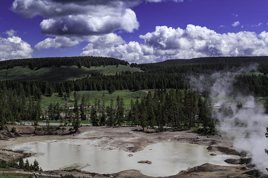 Yellowstone Tar Pits Photograph by Jason Moynihan
