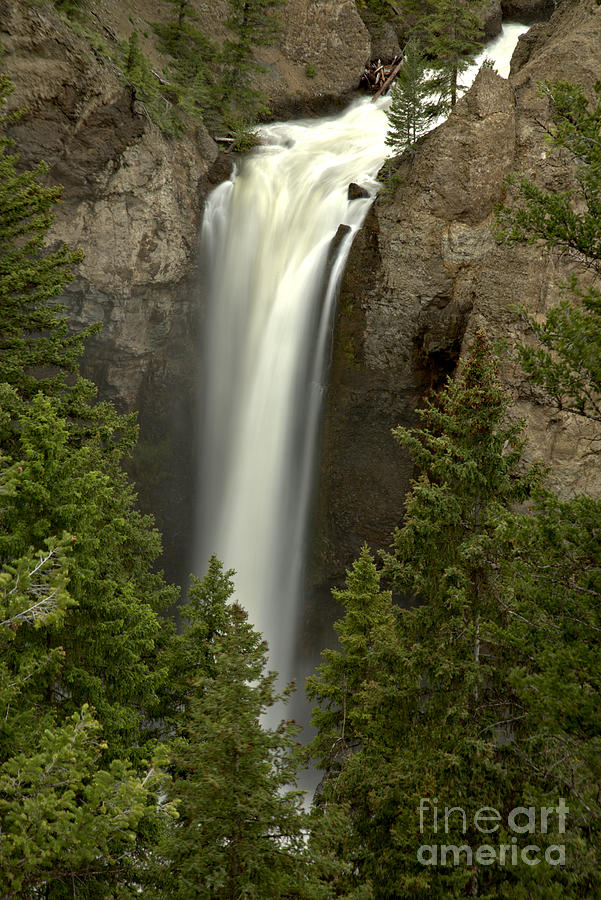 Yellowstone Tower Falls Spring Portrait Photograph by Adam Jewell