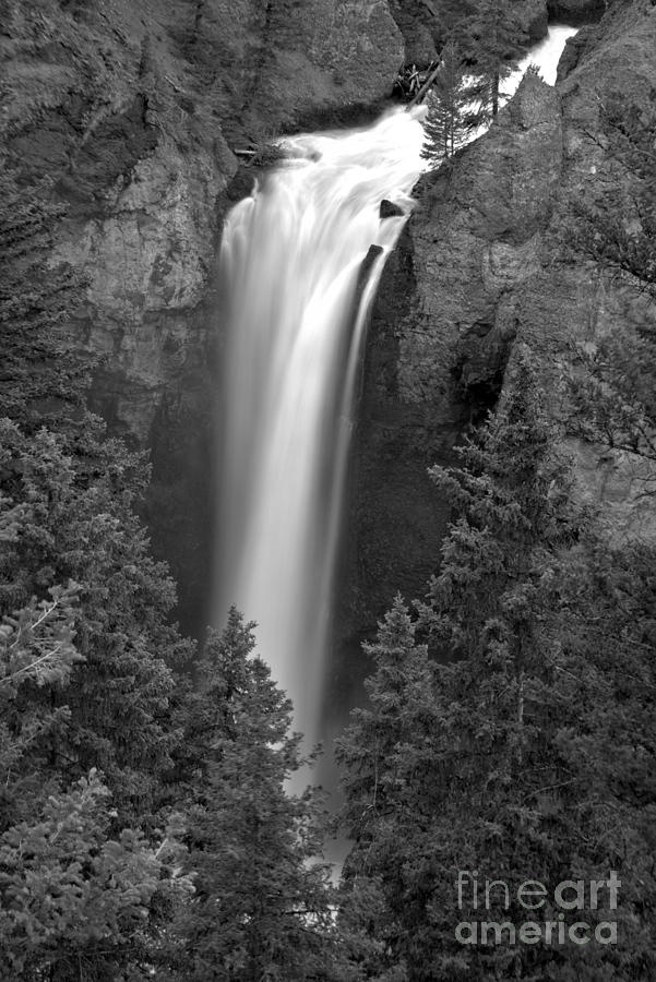 Yellowstone Tower Falls Spring Portrait Black And White Photograph by Adam Jewell