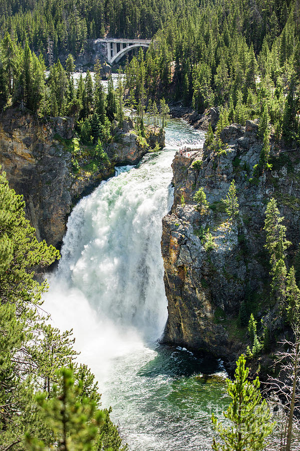 Yellowstone Upper Falls Photograph by Karen Jorstad