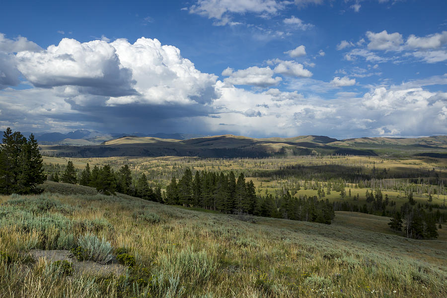 Yellowstone Valley Photograph by Dave Lafontane - Fine Art America