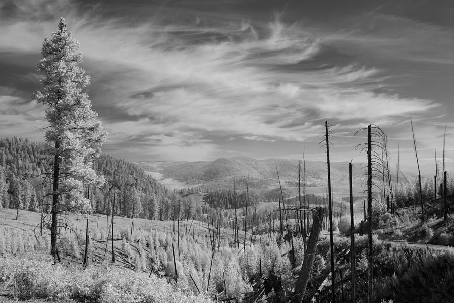 Yellowstone Valley from Blacktail Plateau Photograph by Jonathan Clarke ...