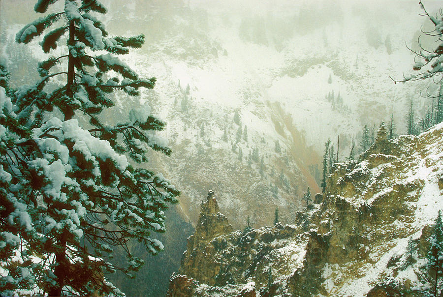 Yellowstone Valley Snowstorm Photograph by John Burk