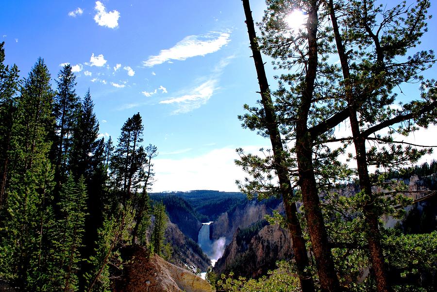 Yellowstone National Park Photograph - Yellowstone Waterfall Distant View by Matt Quest