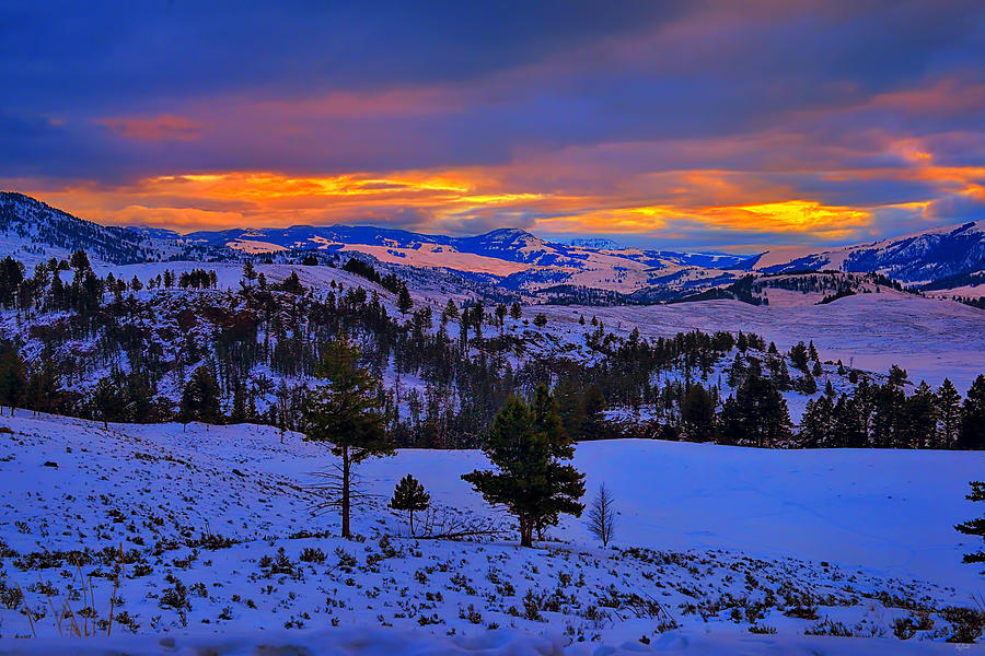 Yellowstone Winter Morning Photograph by Greg Norrell