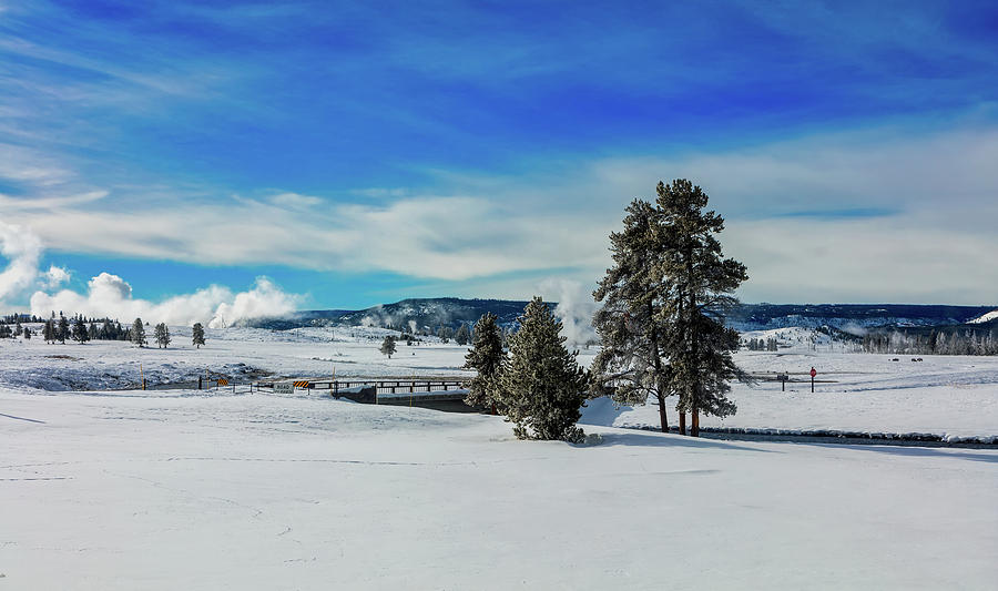 Yellowstone Winter Vista Photograph by Mountain Dreams