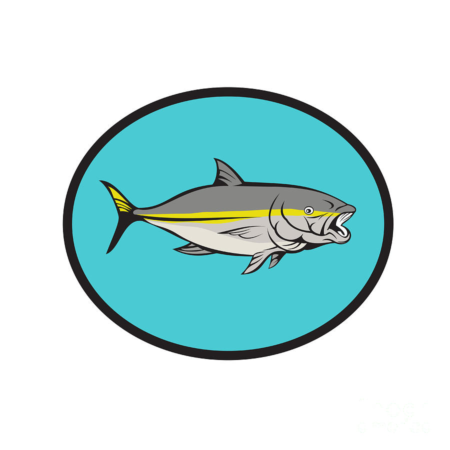 Fish Digital Art - Yellowtail Kingfish Oval Cartoon by Aloysius Patrimonio