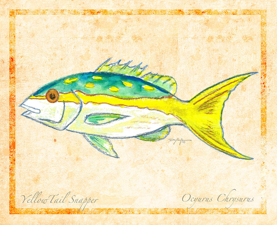Fish Painting - Yellowtail Snapper For Study by William Depaula