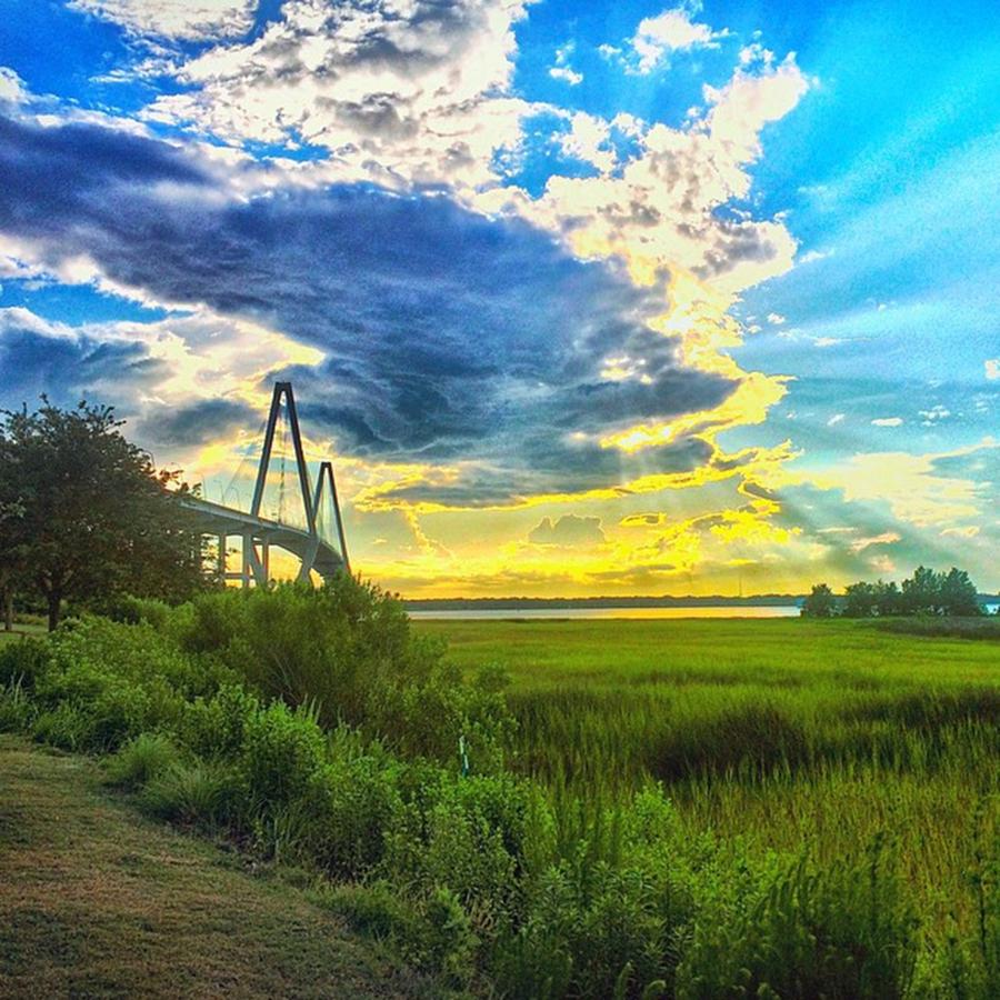Yes, South Carolina Is Really This Photograph by Cassandra M Photographer