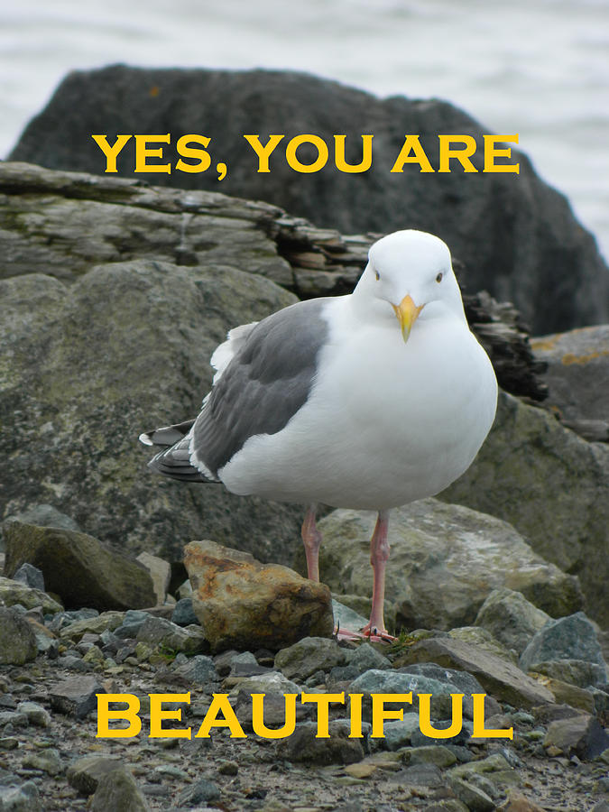 Yes You Are Beautiful Photograph by Gallery Of Hope 