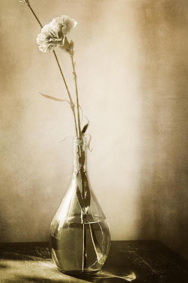 Still Life Photograph - Yesterday by Lisa McStamp