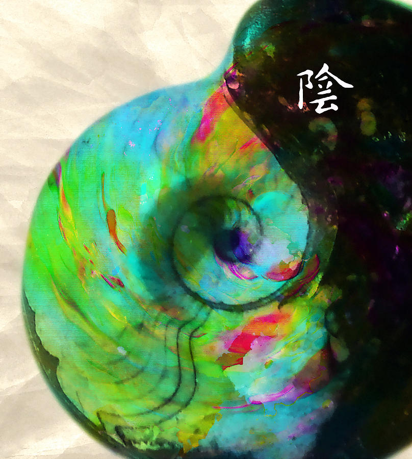 Shell Mixed Media - Yin and Yang - Tao by Stacey Chiew
