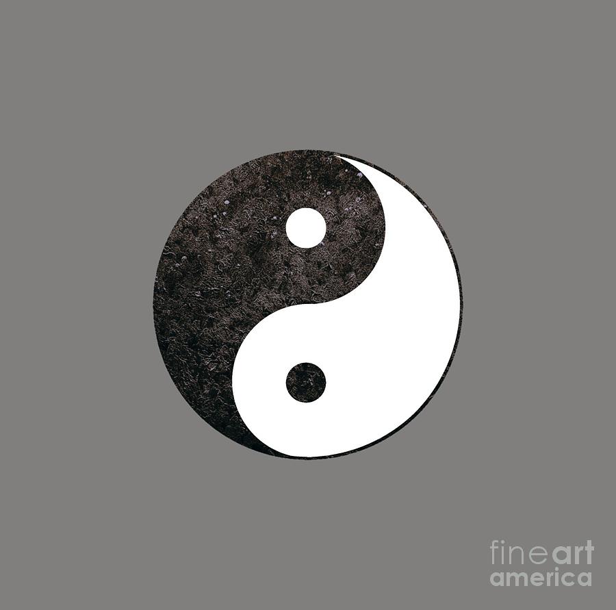 Yin Yang Symbol Painting by Rachel Hannah