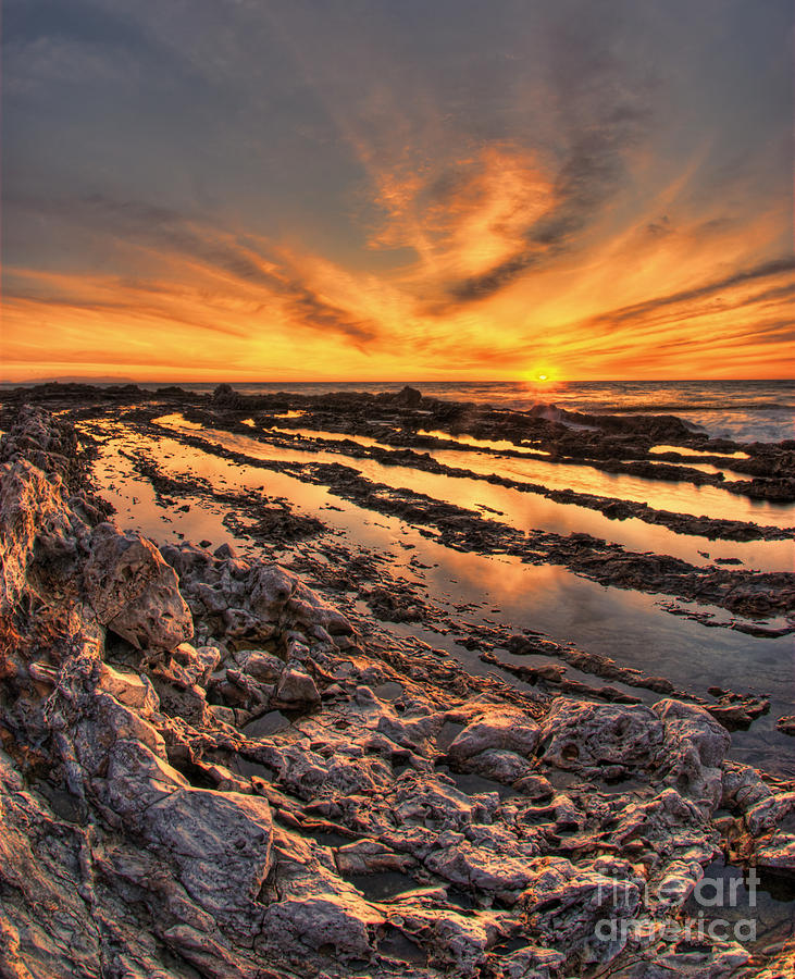 Ying and Yang Photograph by Nick Carlson - Fine Art America