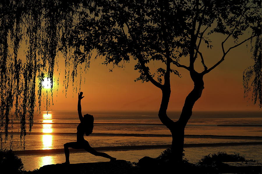 Yoga By the Bay at Sunset Photograph by Andrea Kollo